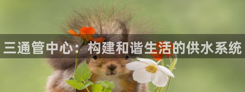 天辰娱乐娱乐平台