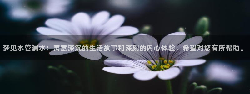 天辰娱乐2