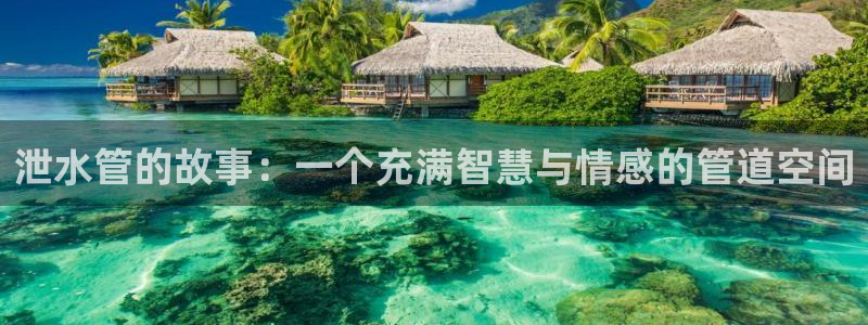 天辰娱乐网