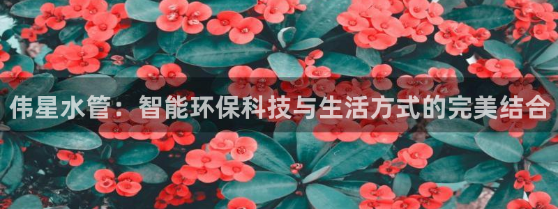 天辰娱乐彩票
