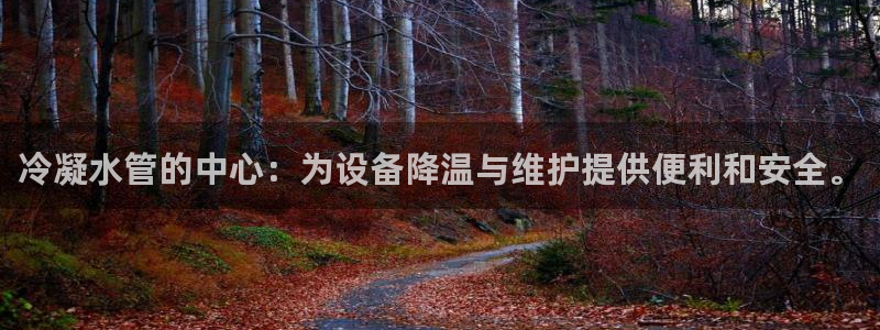 天辰娱乐在哪