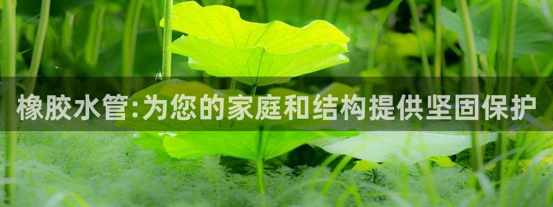 天辰娱乐老板