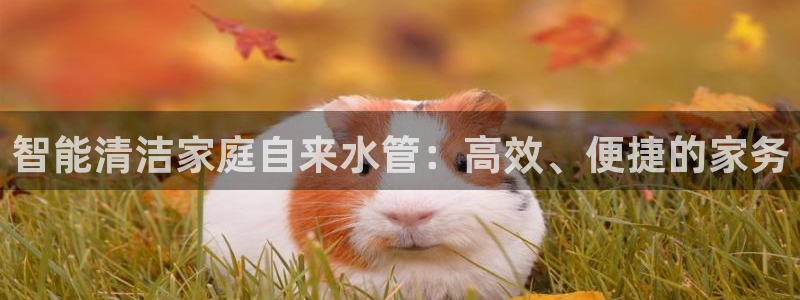 天辰娱乐直属