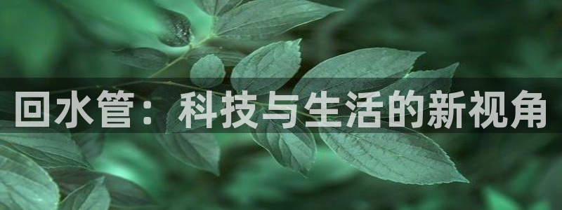 天辰娱乐新