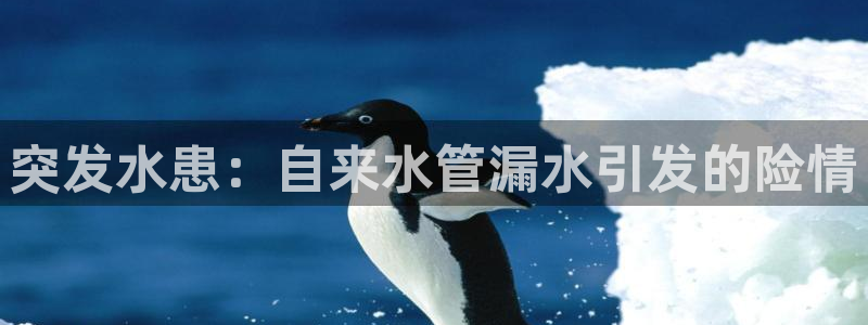 天辰娱乐在哪