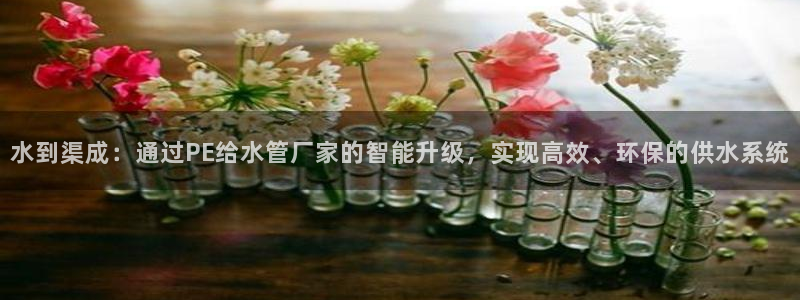 天辰娱乐1980