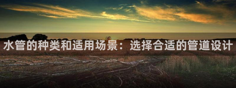 天辰娱乐51137