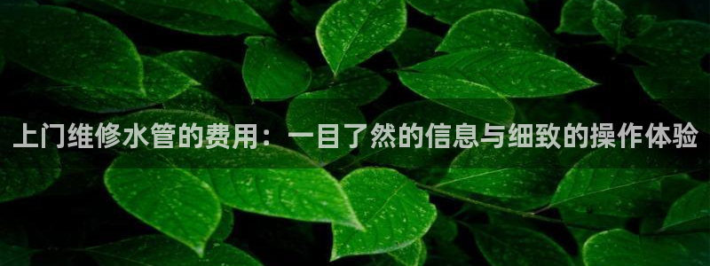 天辰娱乐平台地址在哪里