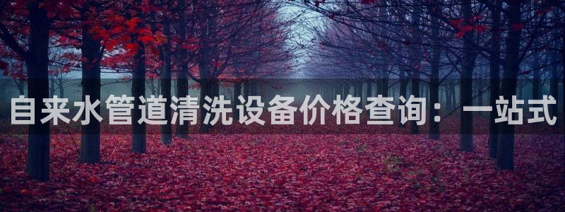 广东天辰娱乐