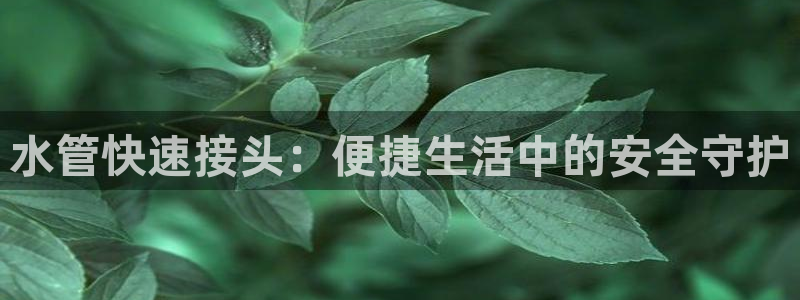 天辰娱乐卡