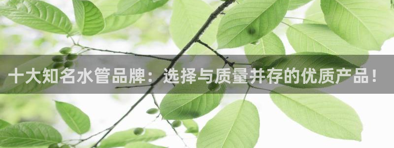 天辰娱乐反水