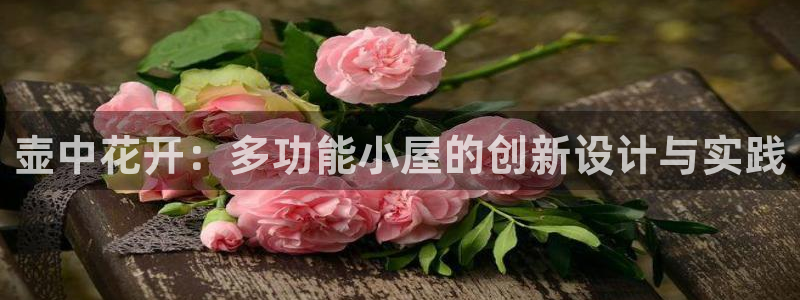 天辰娱乐1966
