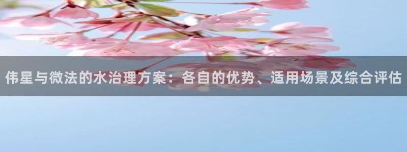 天富娱乐天辰娱乐