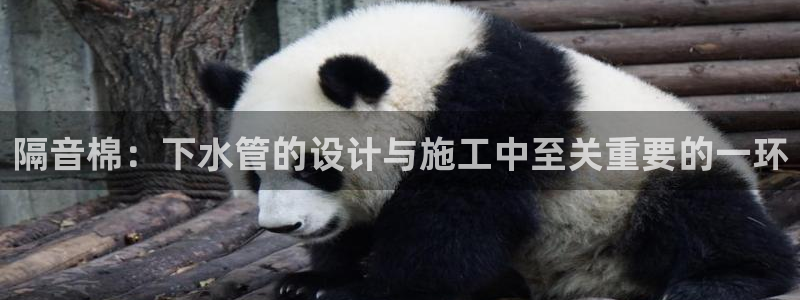 天辰娱乐集团