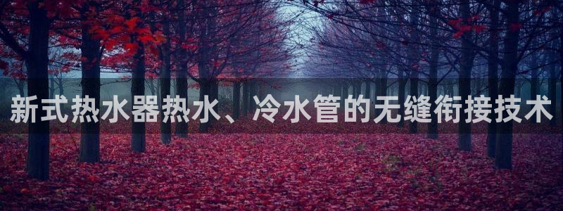 天辰娱乐天辰宝
