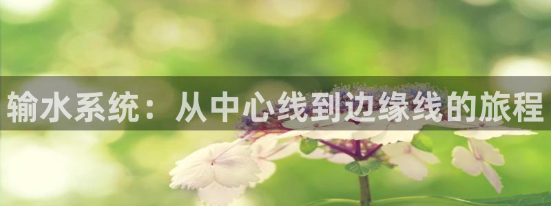 天辰娱乐44616
