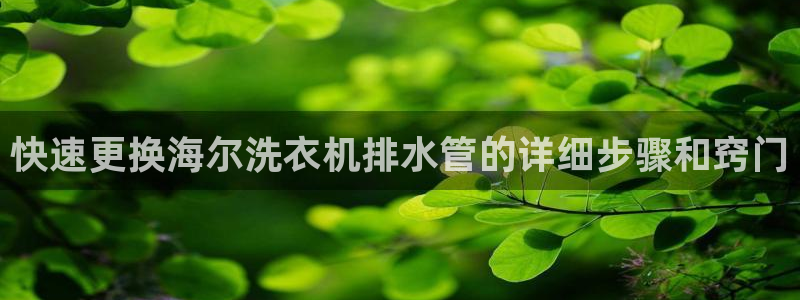 辰天娱乐