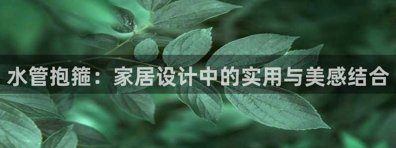 天辰团队贝高娱乐