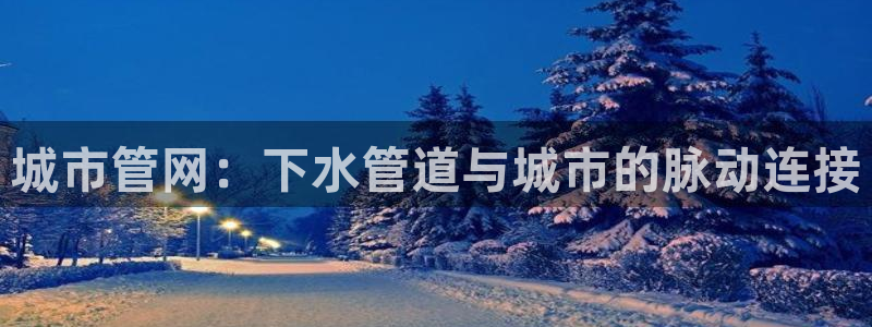 辰天娱乐用品