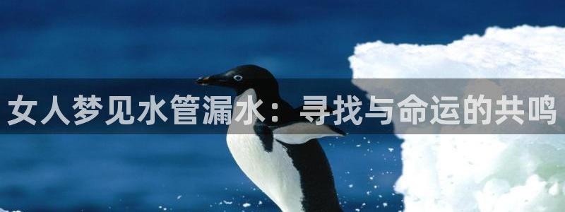 天辰娱乐登陆