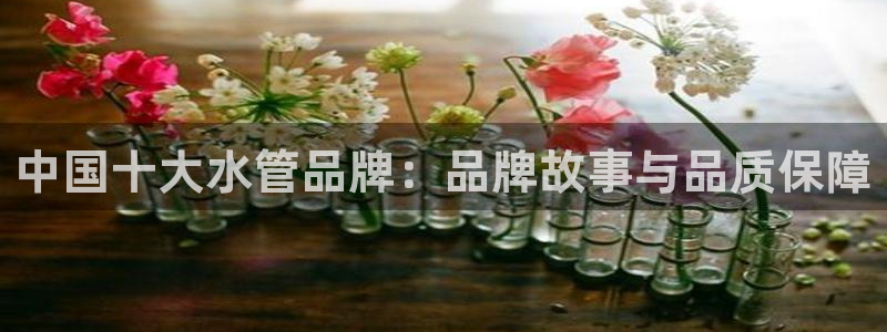 天辰娱乐维护