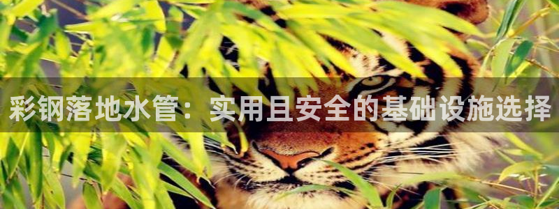 天辰娱乐网址娱乐游戏