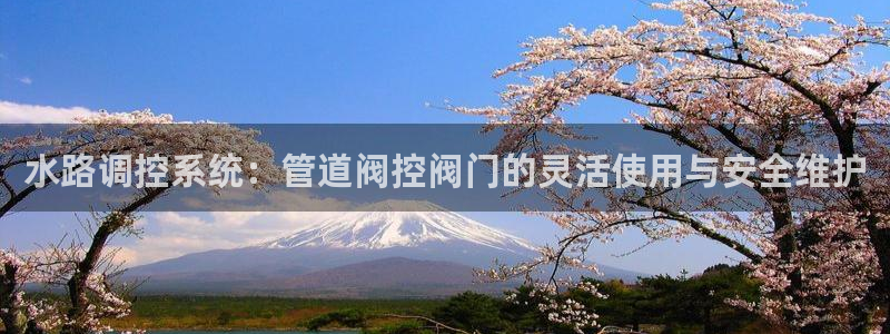 天辰娱乐总管年薪