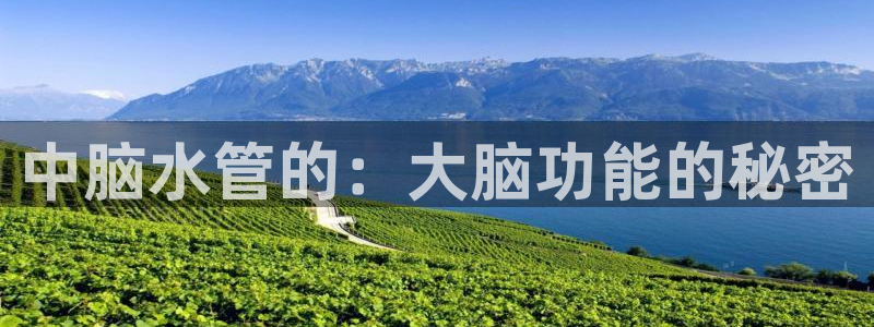 天富娱乐与天辰娱乐