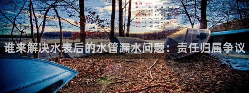 天辰娱乐集团