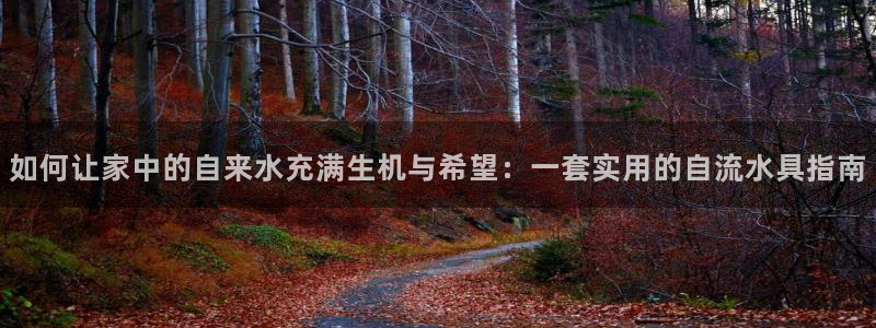天辰娱乐885544