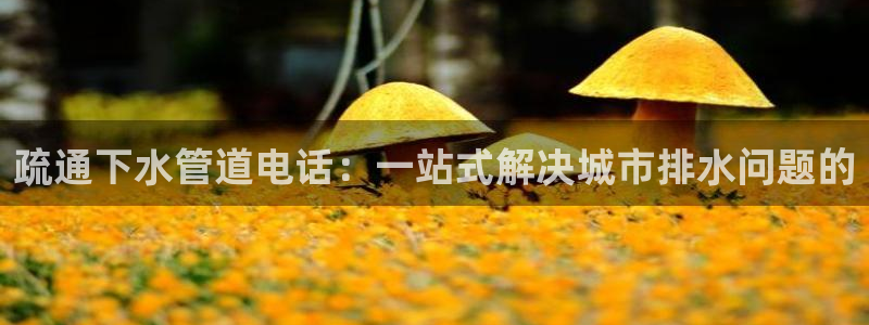手机上怎么下载天辰娱乐