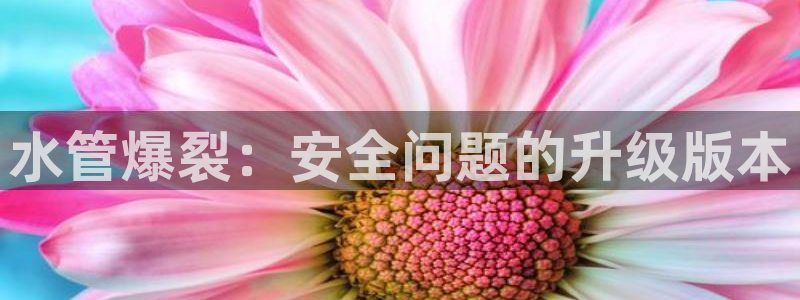 天辰娱乐总管年薪