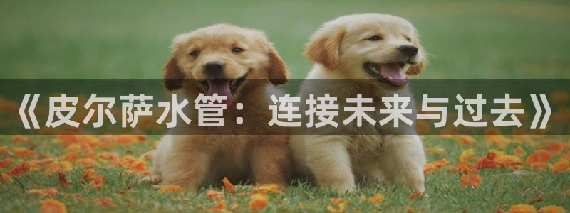 天辰在线娱乐
