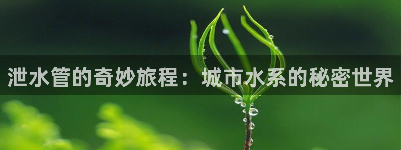 天辰娱乐53551