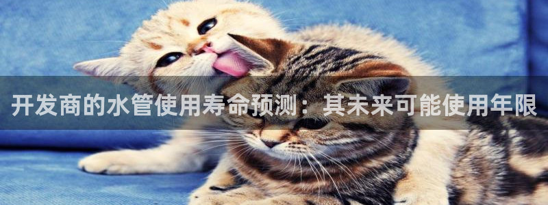 天辰平台娱乐