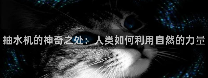 天辰娱乐链接