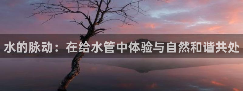 南京天辰娱乐