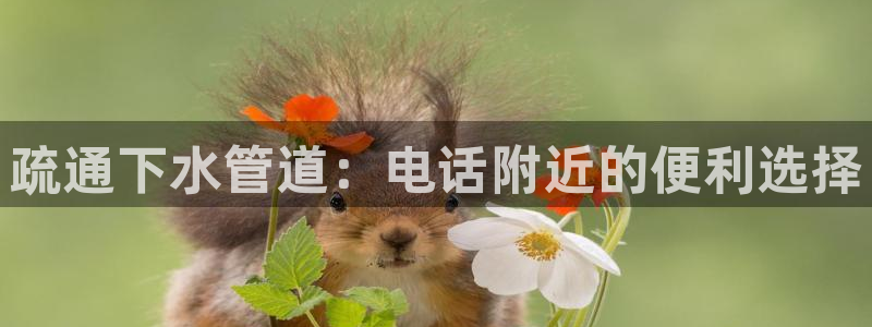 天辰娱乐51137