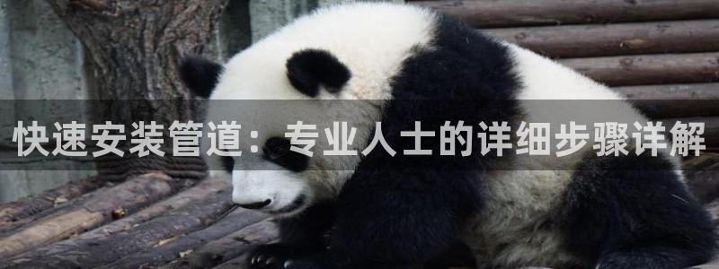 天辰娱乐 . 鱼刺
