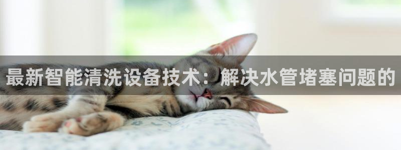 天辰娱乐好吗