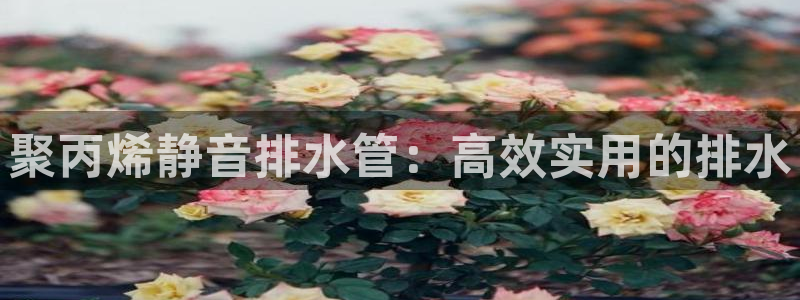天辰娱乐线路