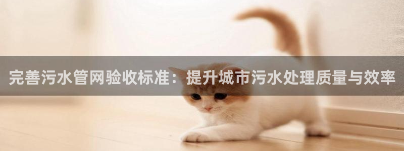天辰娱乐输了