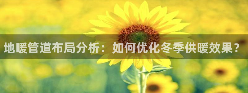 天辰娱乐1956