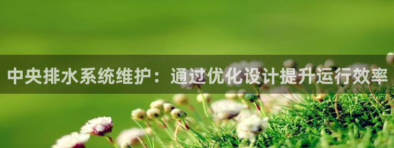 天辰娱乐44516