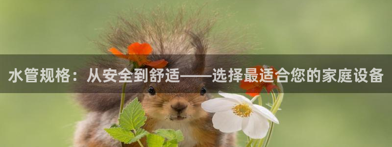 天辰娱乐彩票