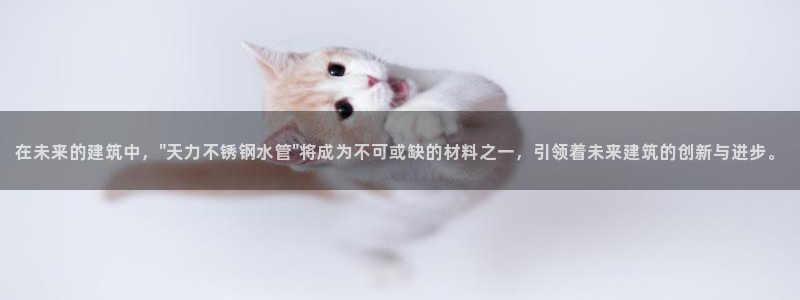 天辰娱乐481928