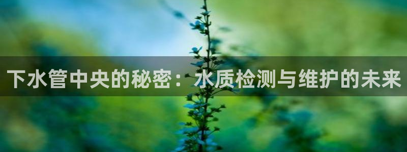 天辰宝娱乐