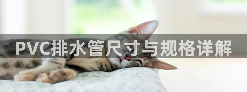 天辰娱乐平台地址