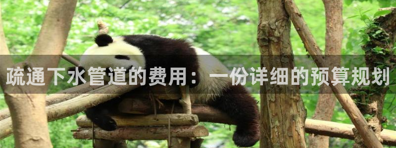 天辰娱乐娱乐