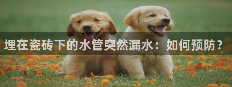 天辰娱乐小姐